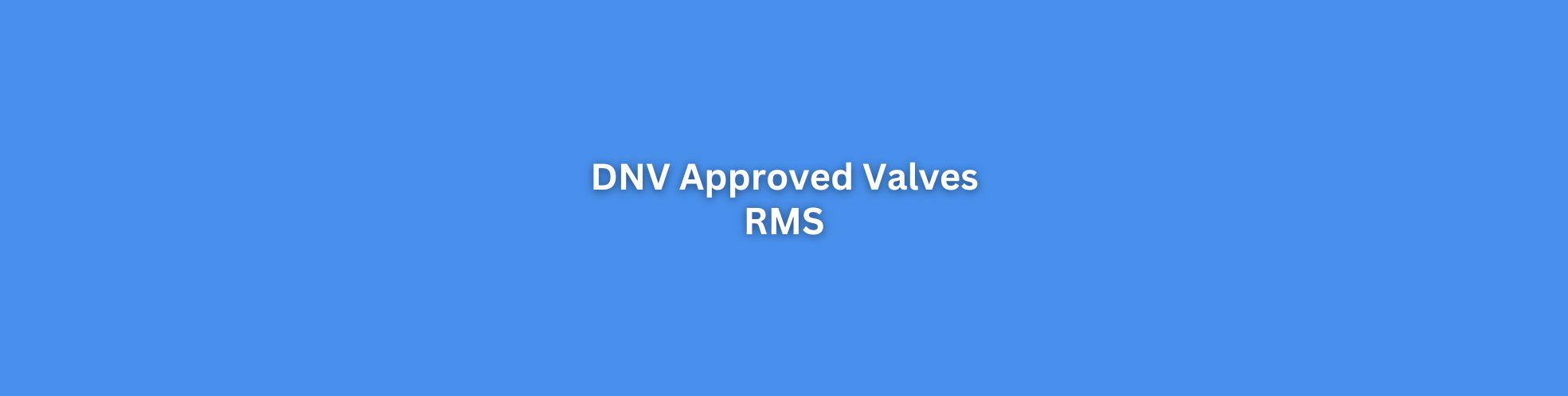 DNV Approved Valves Singapore