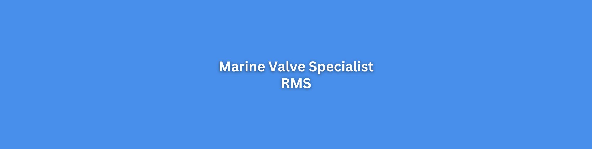 Marine Valve Specialist Singapore