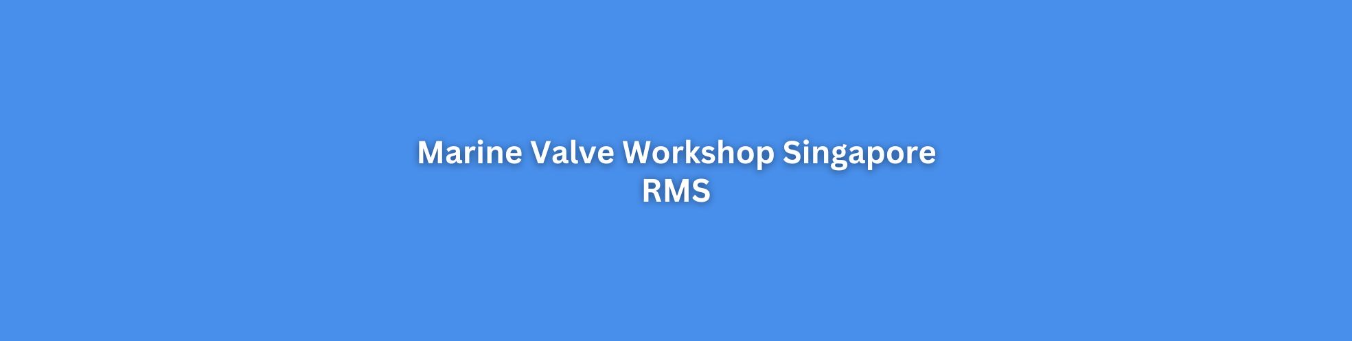 Marine Valve Workshop Singapore