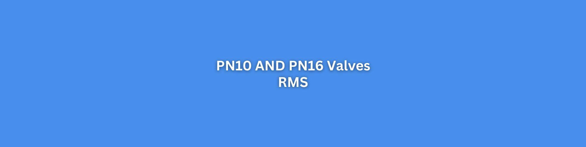 Marine PN10 and PN16 Valves Singapore