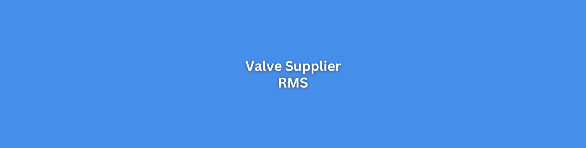 Valve Supplier Singapore